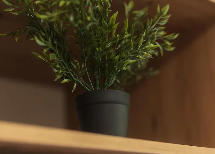 Terraceview דירה *